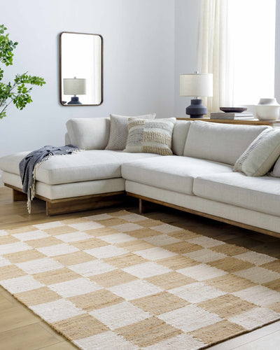 Tyhir Checkered Jute Rug