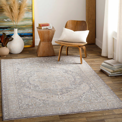 Ulubey Distressed Gray Area Rug