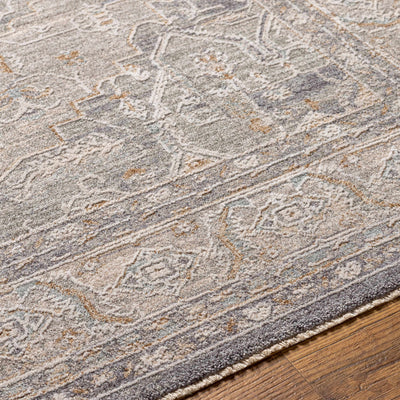 Ulubey Distressed Gray Area Rug