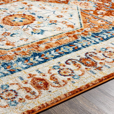 Uludere Area Rug - Clearance