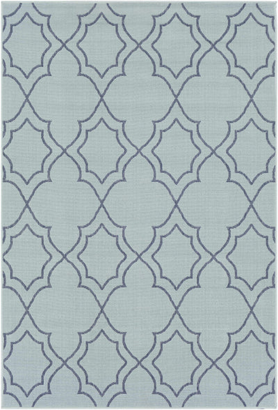 Unique Pale Blue Lattice Trellis Outdoor Rug - Clearance