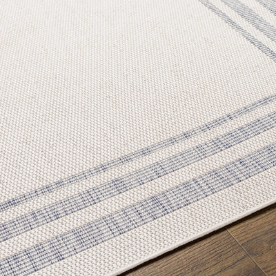 Teja Cream & Blue Area Rug