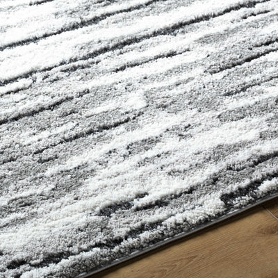 Vembo Area Rug