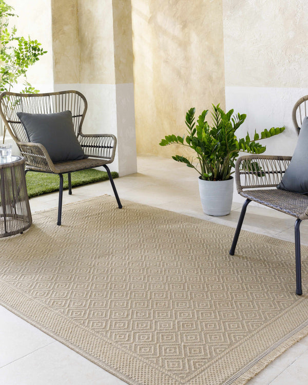 Veata Washable Jute Area Rug