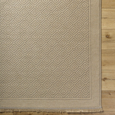 Veata Washable Jute Area Rug