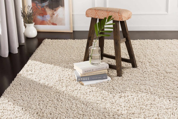 Tingly Solid Beige Shag Rug