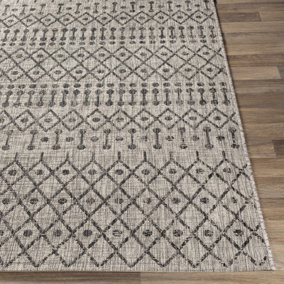 Wallkill Area Rug