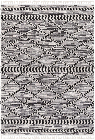 Warrandyte 5x7 Black&White High-Low Rug - Clearance