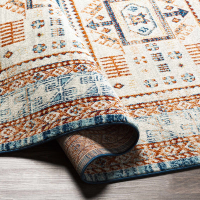 Himaya Blue & Rust Area Rug - Clearance