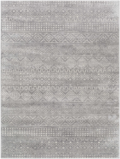 Whitesboro gray performance Rug