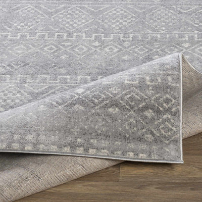 Whitesboro gray performance Rug