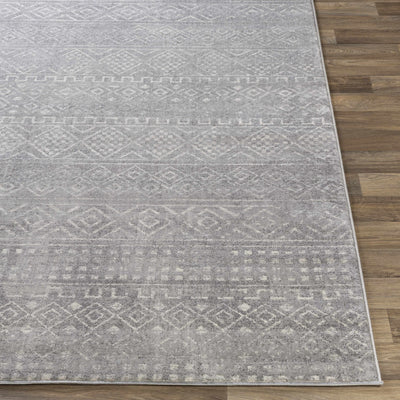 Whitesboro gray performance Rug