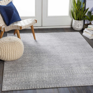 Whitesboro gray performance Rug