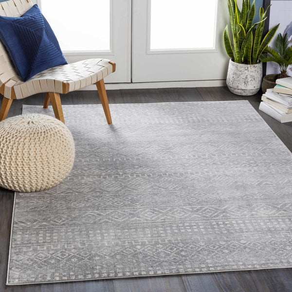 Whitesboro gray performance Rug