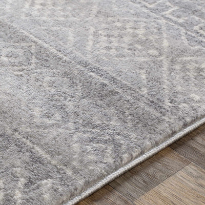 Whitesboro gray performance Rug