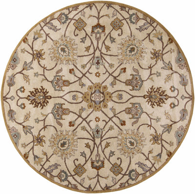 Logville Hand Tufted Tan 1081 Carpet - Clearance