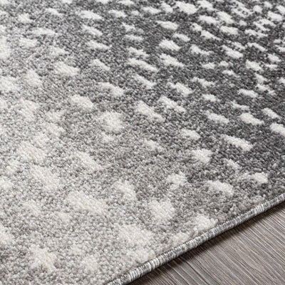 Gray Widnoon Cheetah Print Area Rug - Clearance