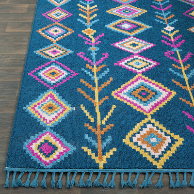 Wildwood 9x12 Blue Tassel Rug - Clearance