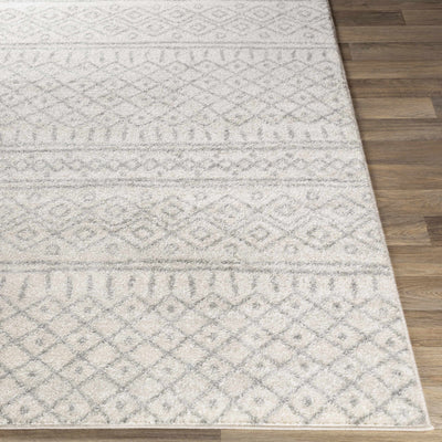 Winston Area Rug - Clearance