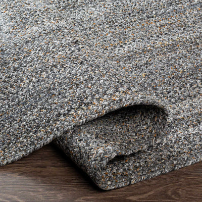 Williton Flatweave Performance Rug