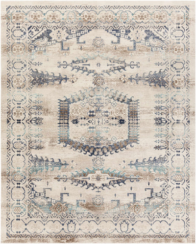 Wem Faded Neutral Area Rug - Clearance