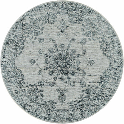 Wandina Traditional Area Rug