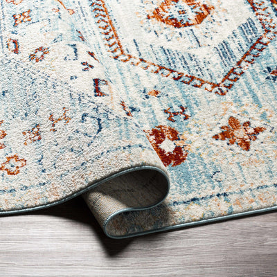 Tullow Rust & Light Blue Area Rug - Clearance