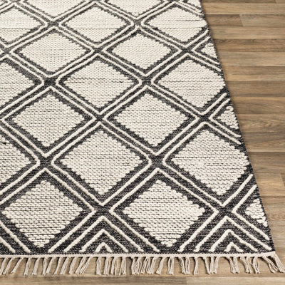 Wausa Area Rug - Clearance