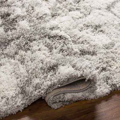 Wynant Gray Tones Plush Rug