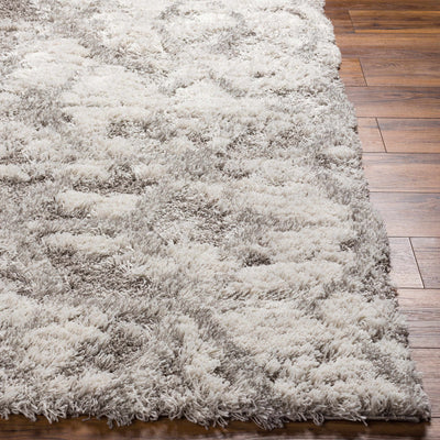 Wynant Gray Tones Plush Rug