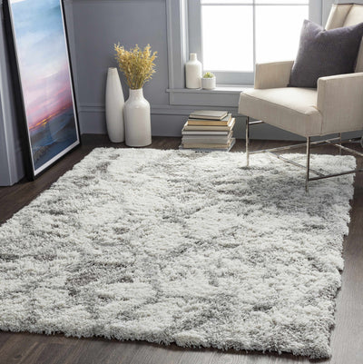 Wynant Gray Tones Plush Rug