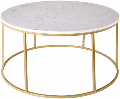 Taminango White Marble Gold Frame Coffee Table