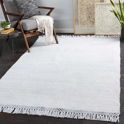 Yokine Flatweave Performance Rug