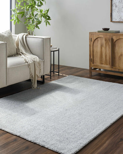 Zareh Gray Blue Solid Area Rug