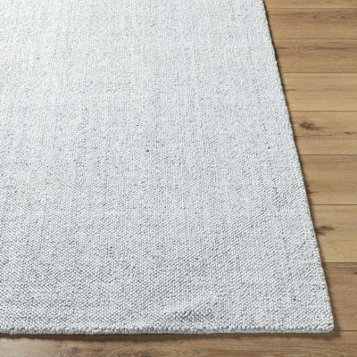 Zareh Gray Blue Solid Area Rug